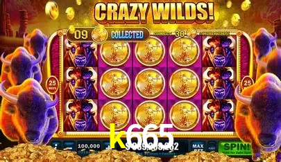 k665 Brasília - Betting Features
